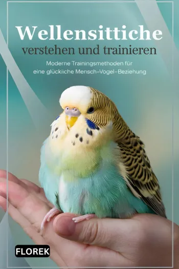 Wellensittiche verstehen und trainieren