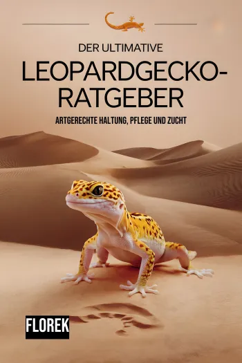 Der ultimative Leopardgecko Ratgeber