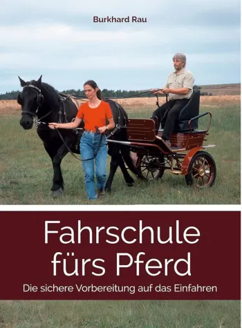 Fahrschule fürs Pferd