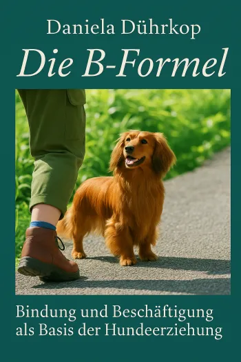 Die B Formel