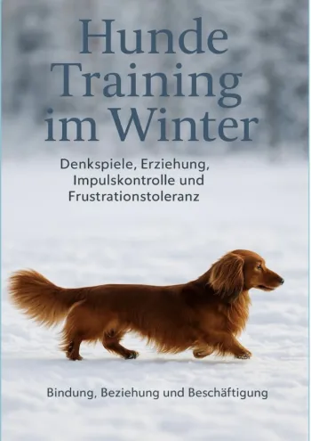 Hundetraining im Winter - Denkspiele, Hundeerziehung, Impulskontrolle und Frustrationstoleranz: