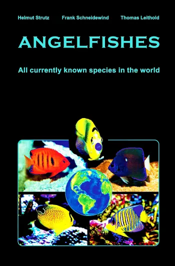 Angelfishes