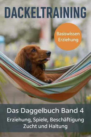 Dackeltraining 