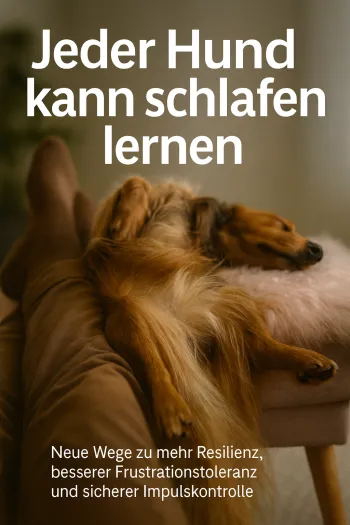 Jeder Hund kann schlafen lernen