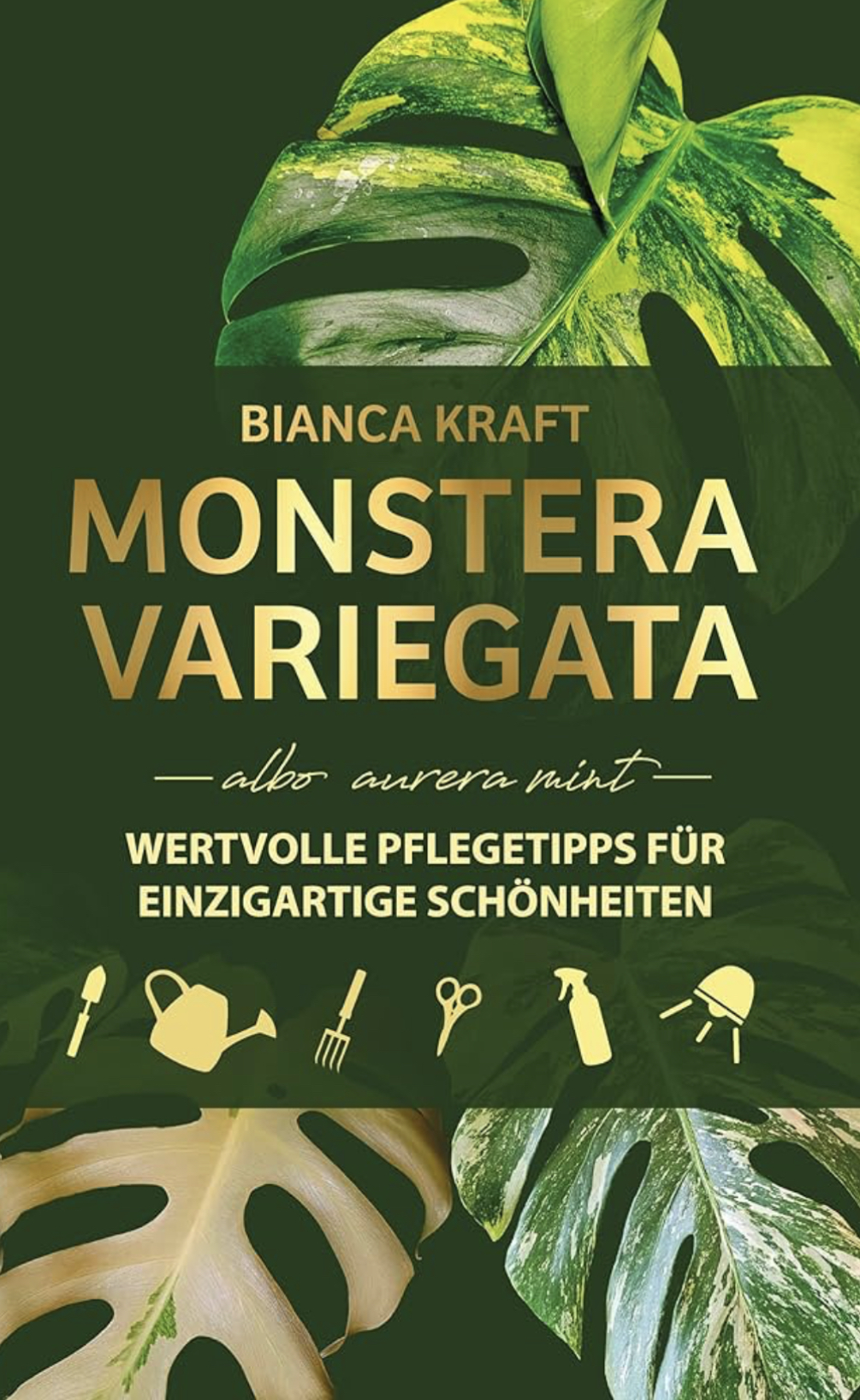 Monstera Variegata - albo aurea mint - Wertvolle Pflegetipps für einzigartige Schönheiten