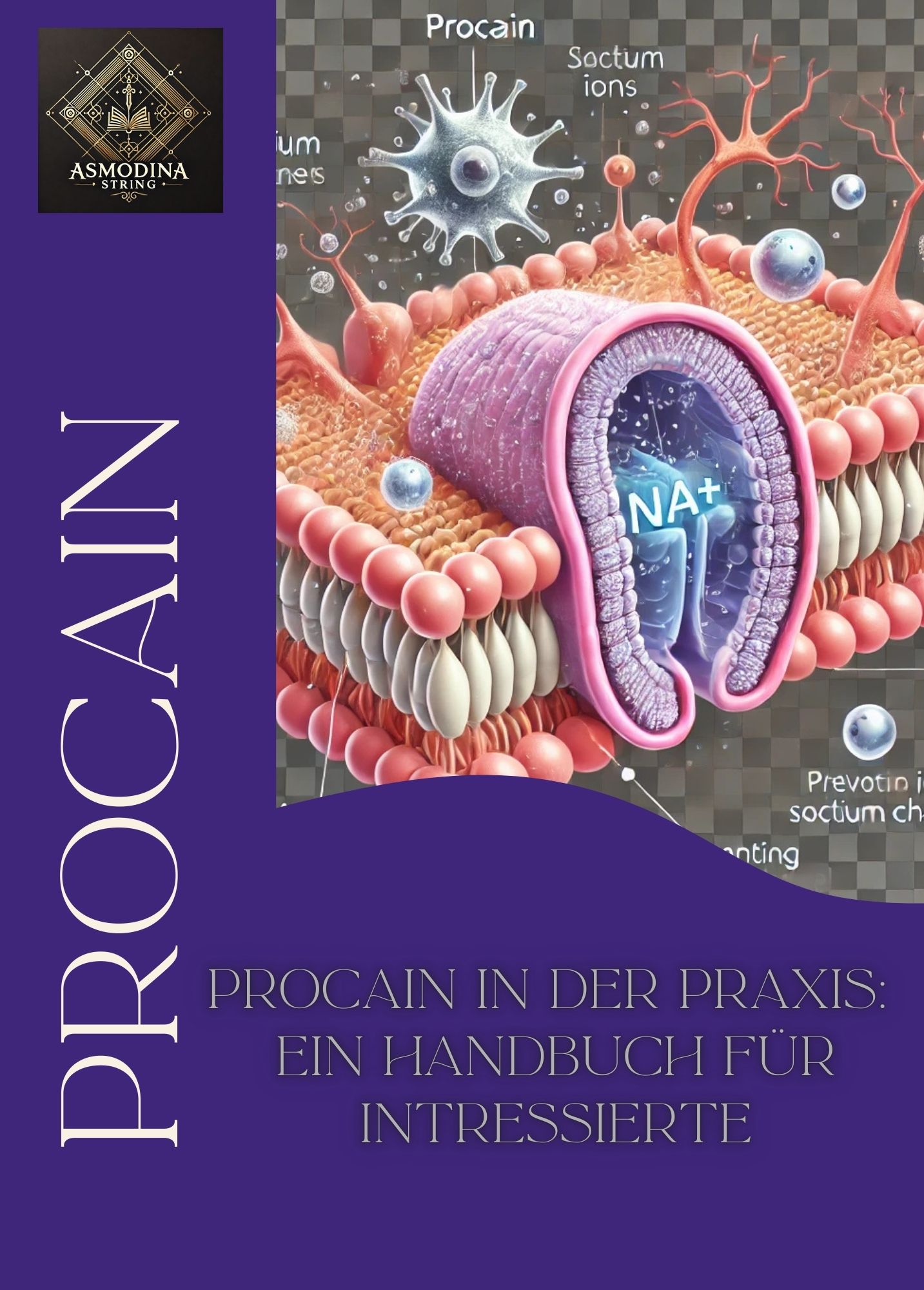 Procain - Anwendungsmöglichkeiten für Naturheilpraktiker? *innen: