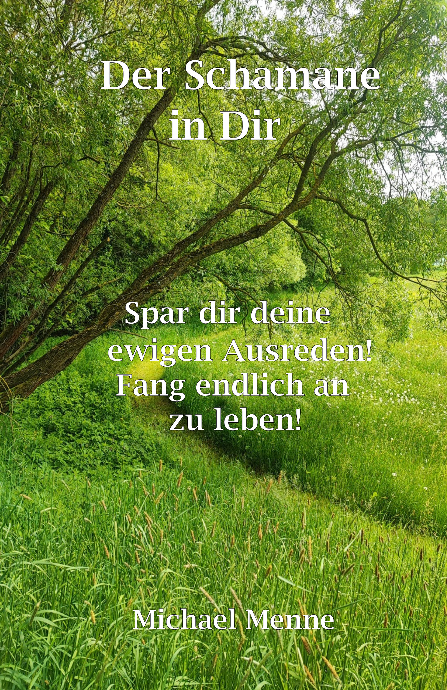 Der Schamane in Dir