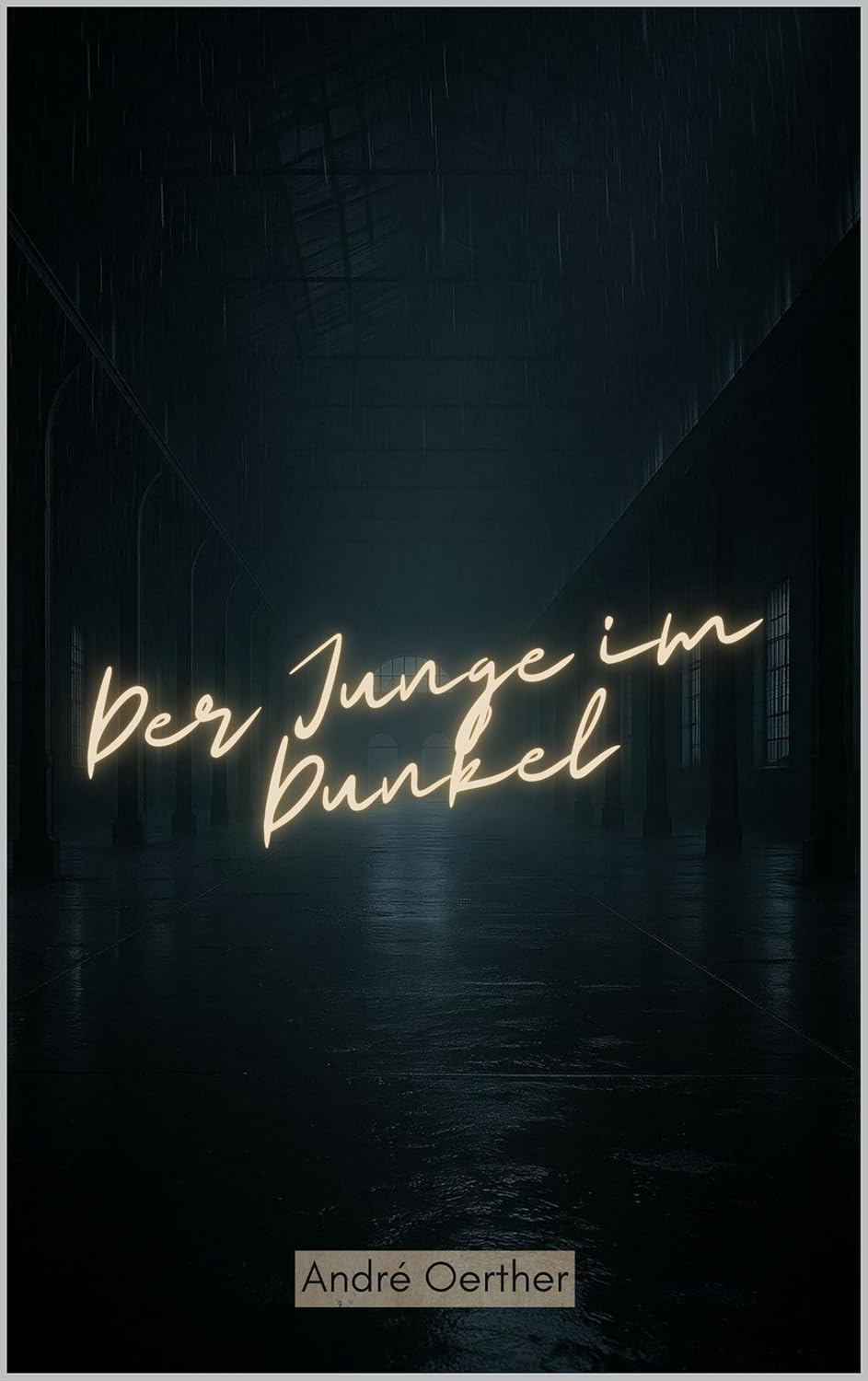 Der Junge im Dunkel Ein Fall fuer Berger & Reinhardt